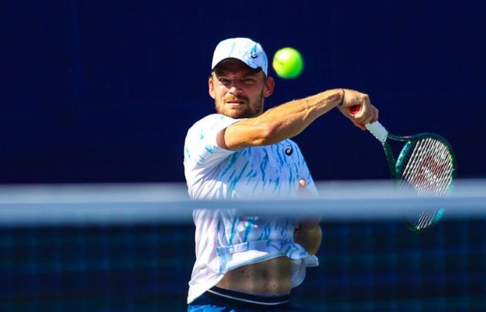 Shanghai: goffin tipo Zverev