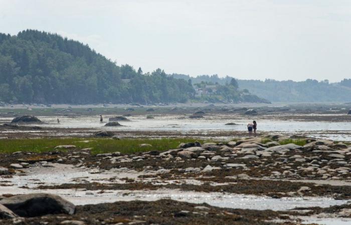 Mobilitazione contro il divieto di pesca a feeder nel fiume San Lorenzo