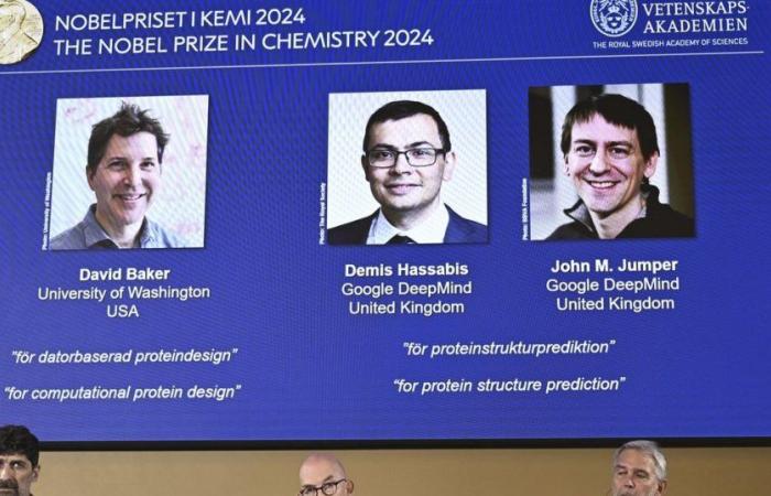 Il Premio Nobel per la Chimica assegnato a David Baker, Demis Hassabis e John Jumper per il loro lavoro sulle proteine