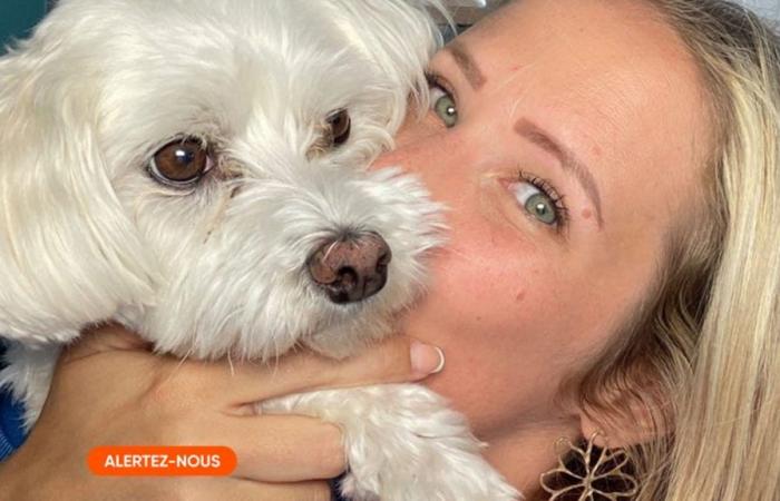 Il cane di Christelle è stato ucciso davanti ai suoi occhi: “Lo shock subito potrebbe avere gravi conseguenze per il resto della mia gravidanza”