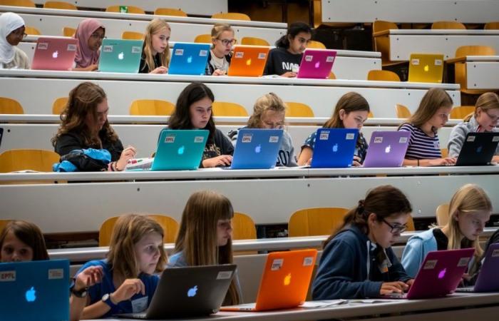 Occupazione e formazione: l’informatica si unisce alle donne