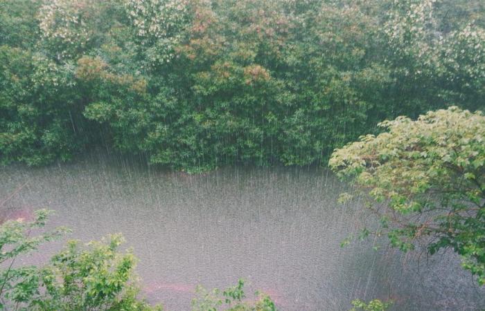 L’Essonne è in allerta mentre la tempesta Kirk si avvicina