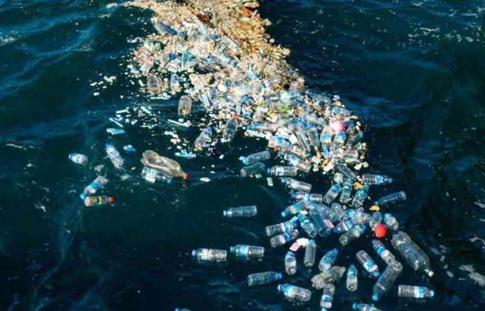 promettente scoperta di un batterio che mangia plastica