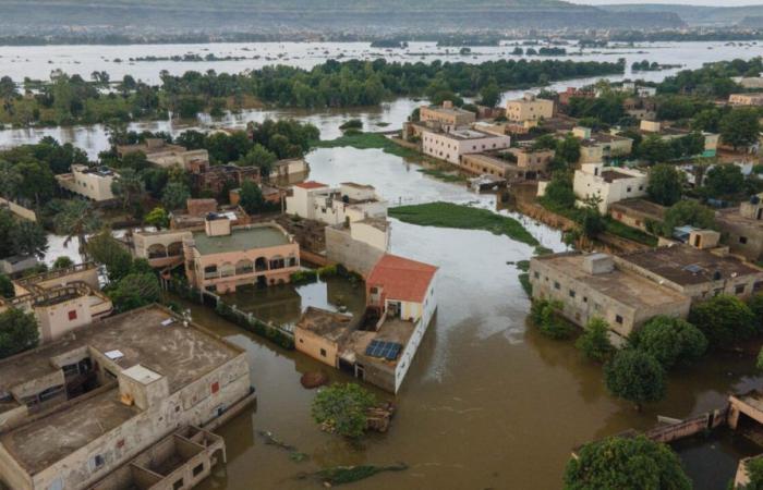 Nelle notizie: Anche l’Africa è soggetta ai capricci del tempo