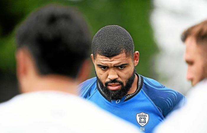 Montpellier – Rugby Club Vannes: la probabile composizione dei residenti di Vannes