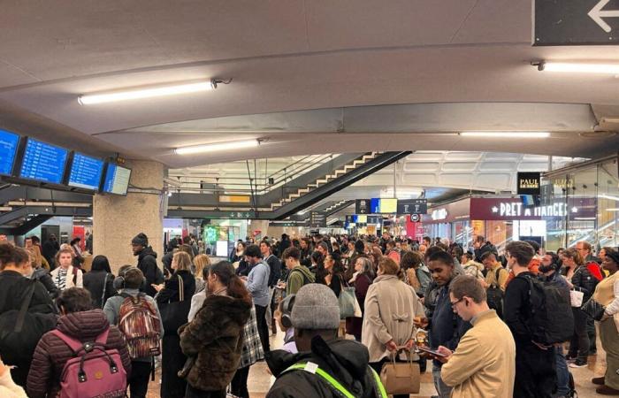 pasticcio “mostruoso” alla stazione SNCF di Lione Part-Dieu, ritardi di 3 ore