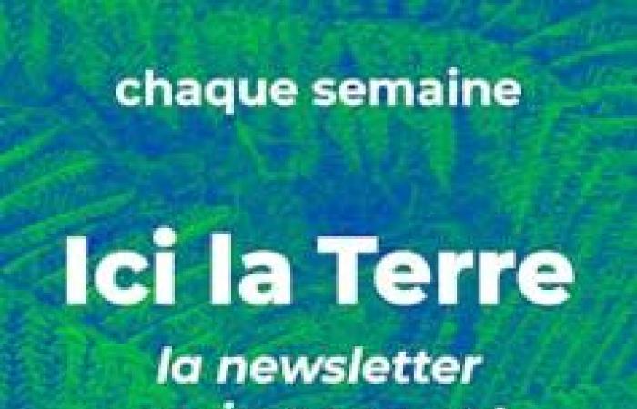 Usa i suoni emessi dalle tartarughe per impedire la loro cattura accidentale da parte dei pescherecci