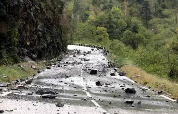 Caduta di alberi, frane, mareggiate… questa mattina facciamo il punto sullo stato delle strade nelle Alpi Marittime