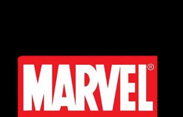 nessun fan è riuscito a scoprire se questi 5 supereroi provengano dalla DC o dalla Marvel