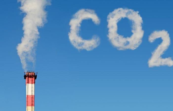 Il prezzo del carbonio, una minaccia per le economie africane