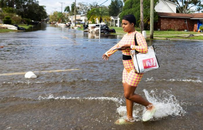 La stampa in Florida | Duro risveglio a Tampa