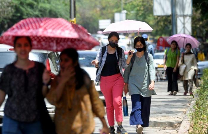 Meteo Haryana e AQI oggi: inizio caldo a 25,3 °C, controlla le previsioni meteo per il 10 ottobre 2024 | Ultime notizie India