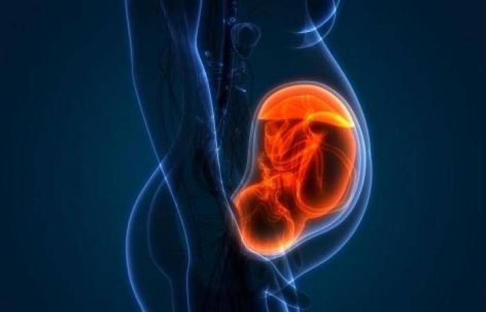 i cambiamenti nella placenta aumenterebbero i rischi