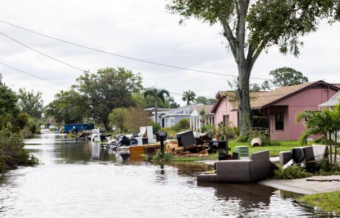 La stampa in Florida | Duro risveglio a Tampa