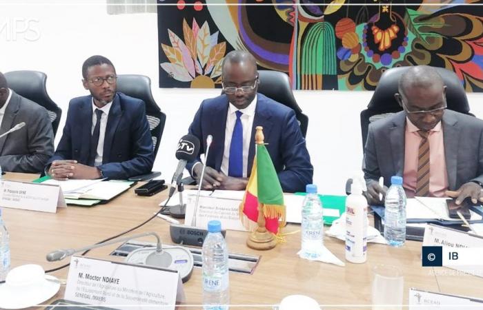 SENEGAL-PAESE-ECONOMIA / Marketing agricolo: le parti interessate invitate a organizzarsi per affrontare la sfida del finanziamento – Agenzia di stampa senegalese