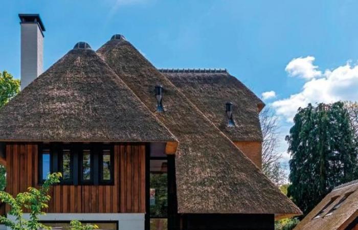 Vicino ad Amsterdam, tour privato di una favolosa villa piena di colore e fantasia