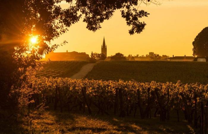 Vendita di vini in Gironda a prezzi stracciati, lo scandalo dei 5 centesimi!