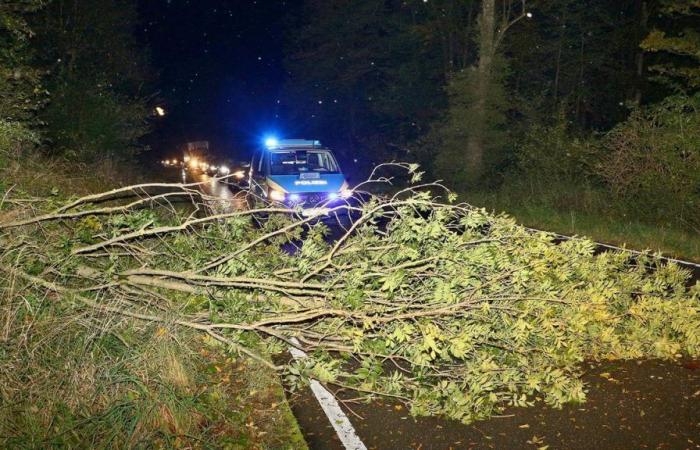 Baden-Württemberg: Ex uragano “Kirk” in BW: incidenti, chiusure stradali e soppressioni di treni