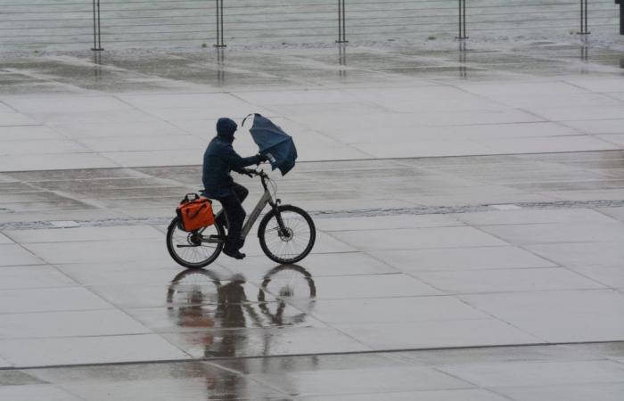 È ancora sicuro pedalare: la BBC è “davvero, davvero dispiaciuta” per le previsioni fuorvianti dei venti con forza di uragano