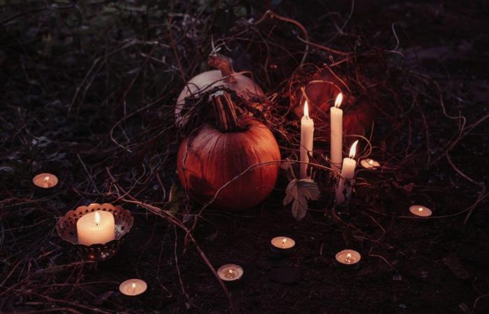 Halloween 2024: visitare uno spaventoso giardino infestato, a Meaux (77)