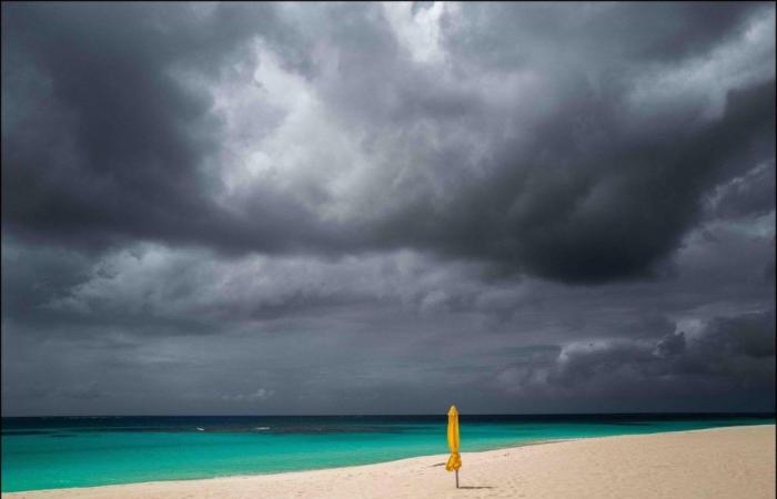 Mostra a Ginevra: soli sulla spiaggia, occhi nell’acqua…