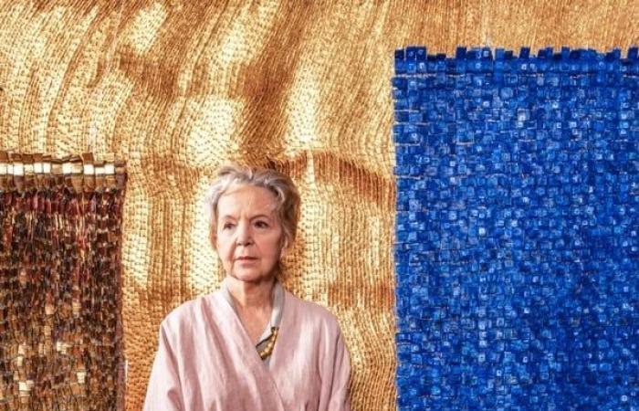 Mostra di Olga de Amaral alla Fondazione Cartier | Prenotazione biglietti