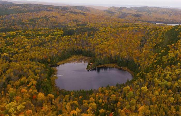 Una mappa per seguire l’evoluzione dei colori autunnali in Quebec