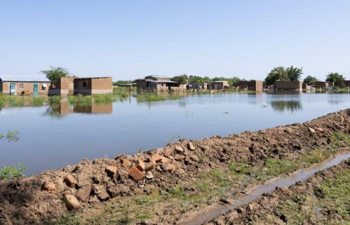 Ciad: l’esondazione dei fiumi Chari e Logone minaccia i quartieri di N’Djamena