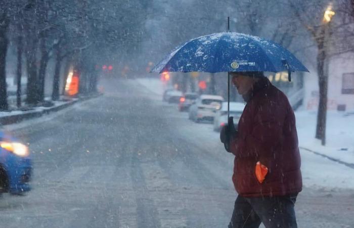 Ecco quando potrebbe nevicare