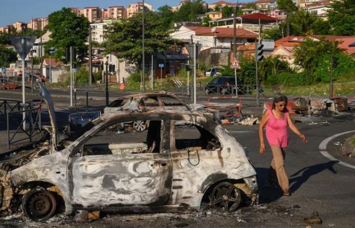 Dodici gendarmi feriti in Martinica dopo una notte di rivolte contro il carovita