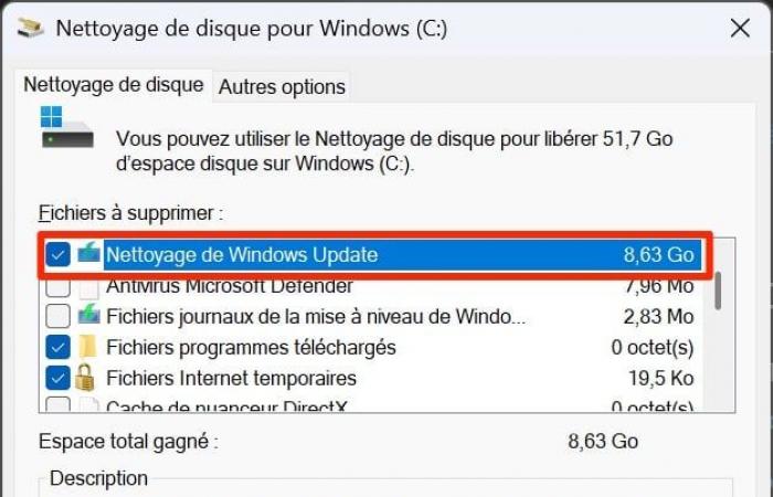 Windows 11 24H2 presenta un problema di dimensioni