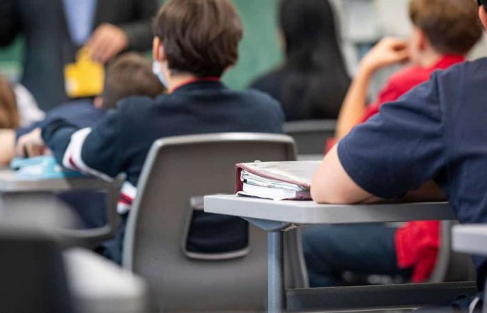 “Per me è fondamentale”: una scuola specializzata potrebbe perdere il servizio di assistenza all’infanzia