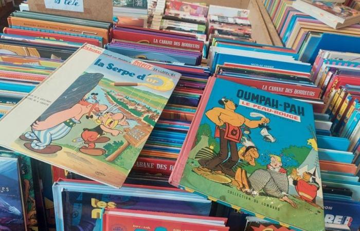 La fiera del libro di Belfort pensa in grande per la cinquantesima edizione