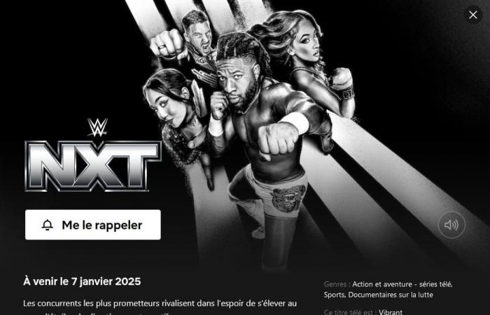 La WWE sta arrivando su Netflix!