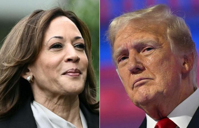 Kamala Harris è in testa nel distretto della Pennsylvania vinto da Trump nel 2020