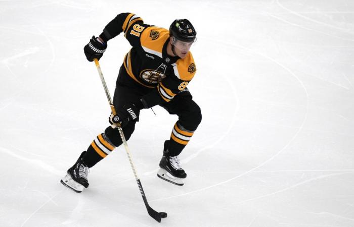 Gli Hungry Bruins aspetteranno il canadese