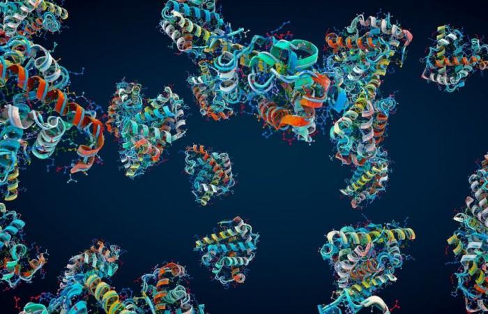 Il Premio Nobel per la Chimica 2024 incorona la struttura delle proteine