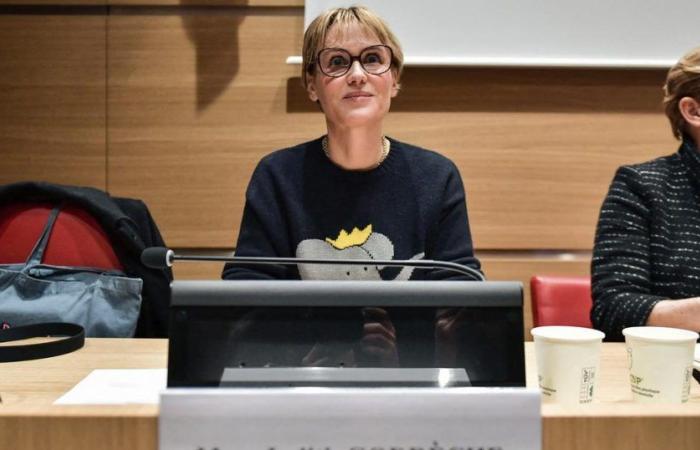 L’Assemblea rilancia le sue commissioni d’inchiesta sulla violenza nel cinema e sulla tutela dell’infanzia