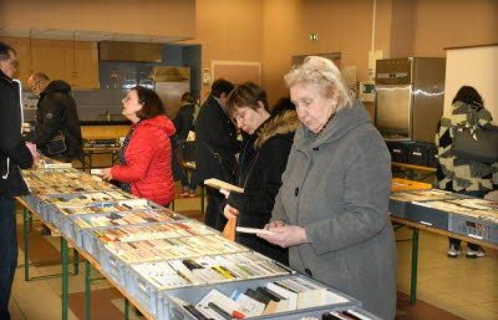 Vendita di 4.000 libri usati ad Hambach: mercato delle pulci ad Hambach