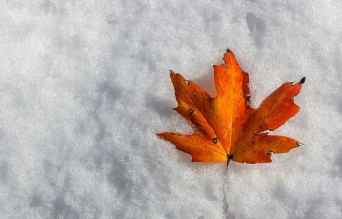 Quebec meridionale: la neve è già in arrivo