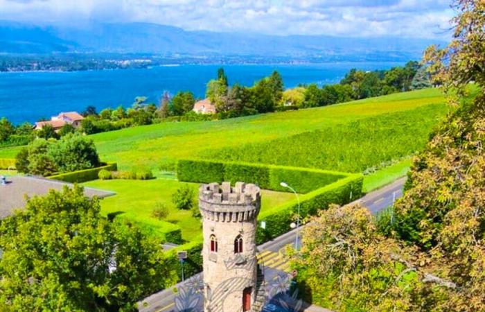 “Atmosfera regale”: per una manciata di milioni, questo castello di Ginevra è vostro!