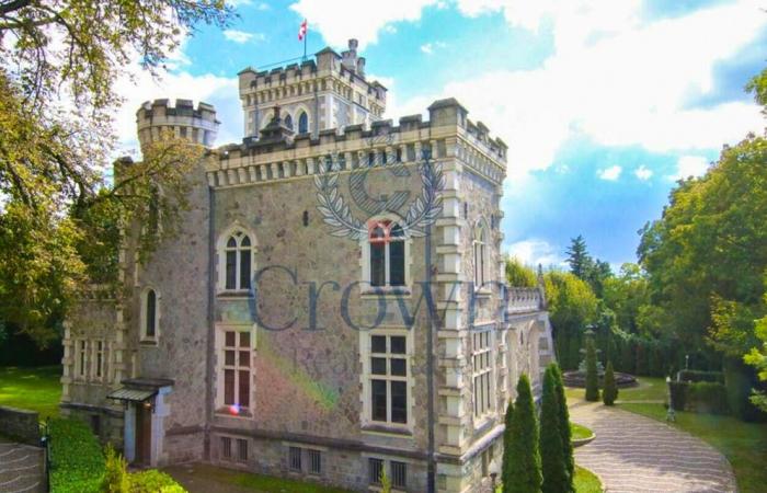 “Atmosfera regale”: per una manciata di milioni, questo castello di Ginevra è vostro!