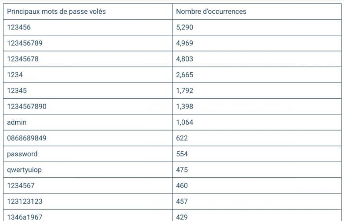 Due milioni di password VPN rubate da malware, ecco le più compromesse