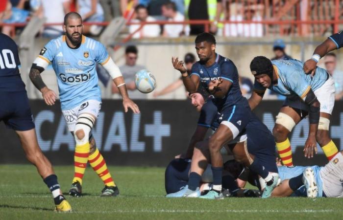 Top 14: i giocatori di rugby del Montpellier accolgono Vannes per la “partita degli stupidi”