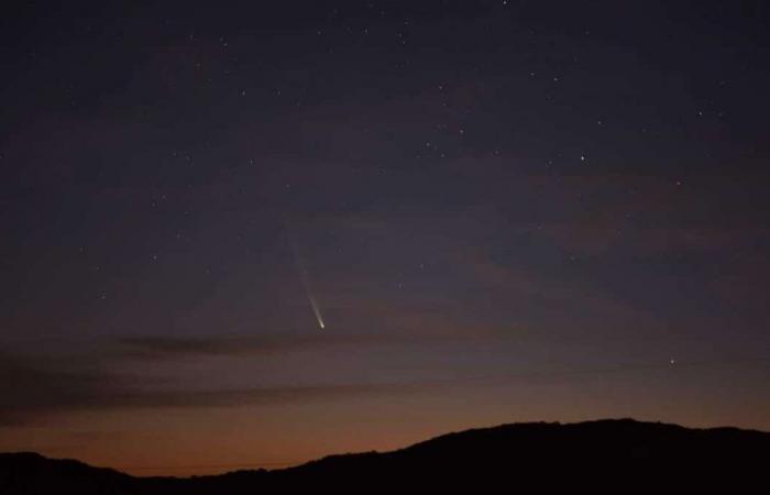 Guarda in alto: stasera potresti vedere una cometa nel cielo