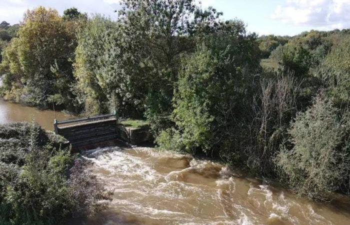 Perché il prosciugamento di questi fiumi viene interrotto nel Maine-et-Loire?