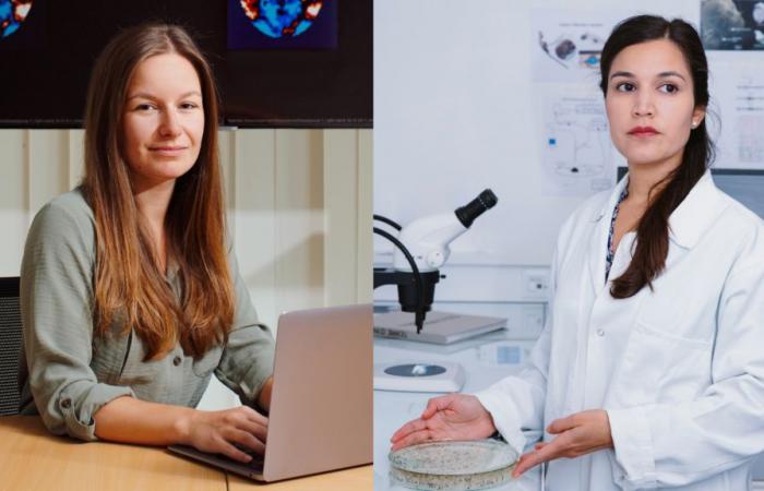 “L’educazione è la chiave”: intervista a due ricercatori premiati per la loro carriera scientifica negli Yvelines