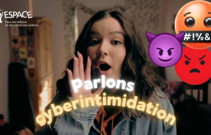 Prevenzione della violenza informatica: le organizzazioni comunitarie ESPACE in Quebec vogliono raggiungere i bambini dove si trovano: su Internet