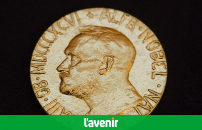 Il Premio Nobel per la Pace assegnato ad un’associazione giapponese a favore delle vittime della bomba atomica