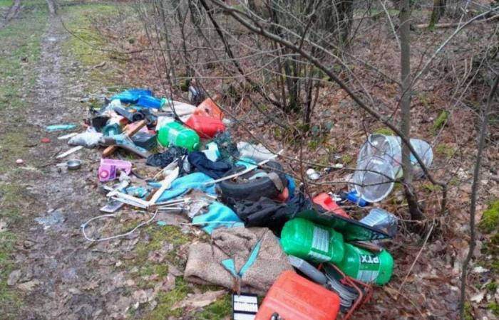 Nel Morbihan “alcuni scambiano la foresta per una discarica”